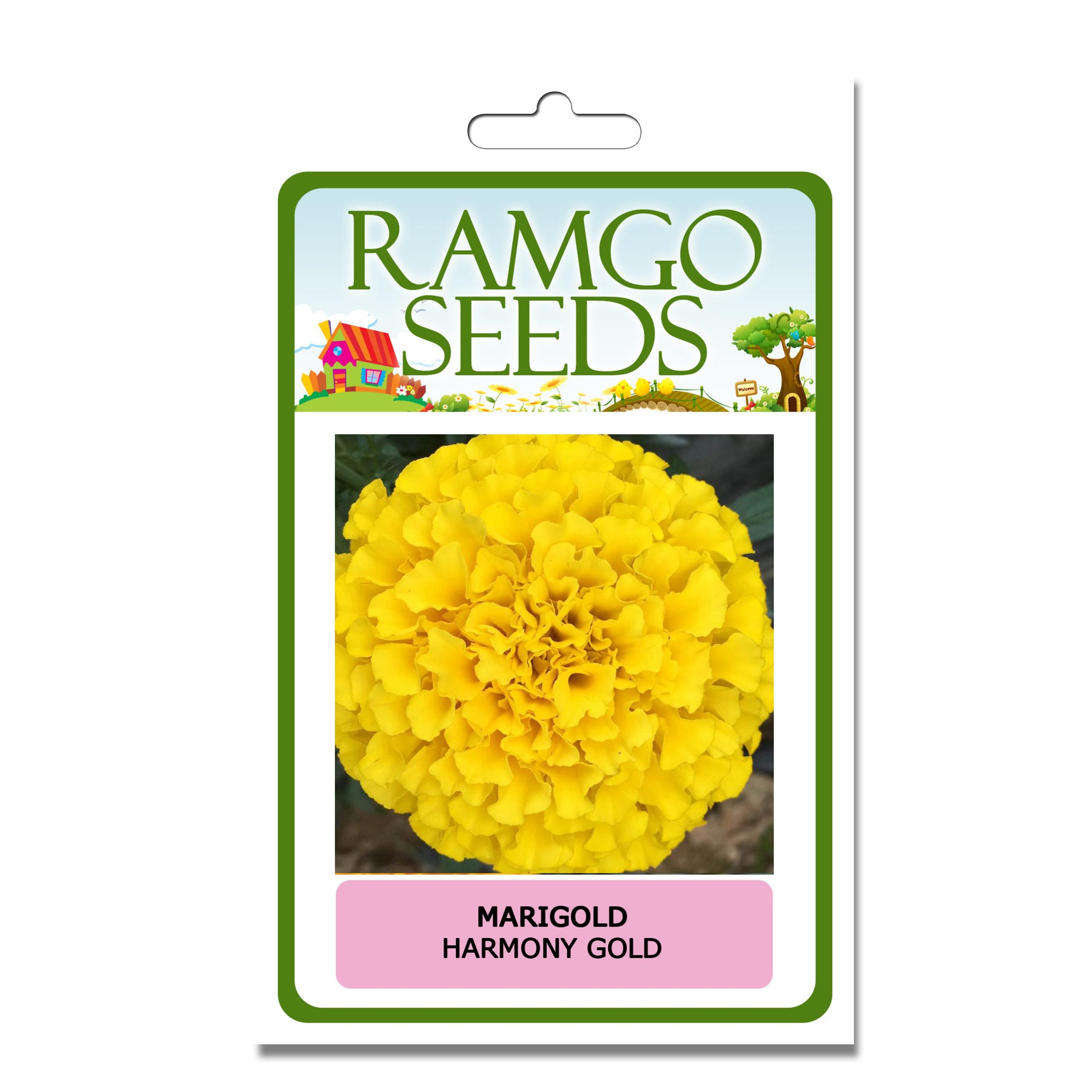Ramgo Marigold Harmony Gold Flower Seed