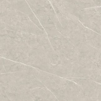 WHITEHORSE  60X60 CVH60891GP NORMAL